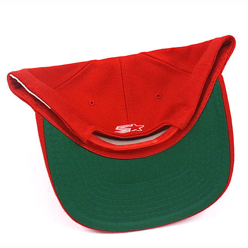 Vintage Snapback Snap Back Hat San Francisco 49ers Forty Niners