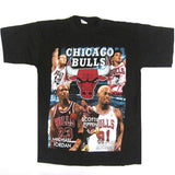 Vintage Chicago Bulls 1996 Champions T-Shirt