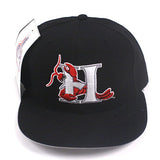 Vintage Hickory Crawdads Fitted Hat NWT