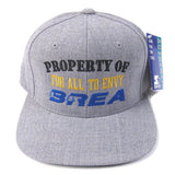For All To Envy "Property Of" Starter Snapback Hat
