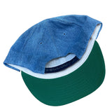 Vintage Carolina Panthers Suede Brim Snapback