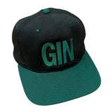 Vintage Gin Blossoms SnapBack Hat