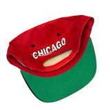 Vintage Chicago Bulls SnapBack NWTs