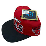 Vintage Chicago Bulls SnapBack NWTs