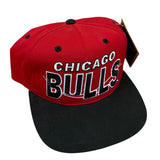 Vintage Chicago Bulls SnapBack NWTs