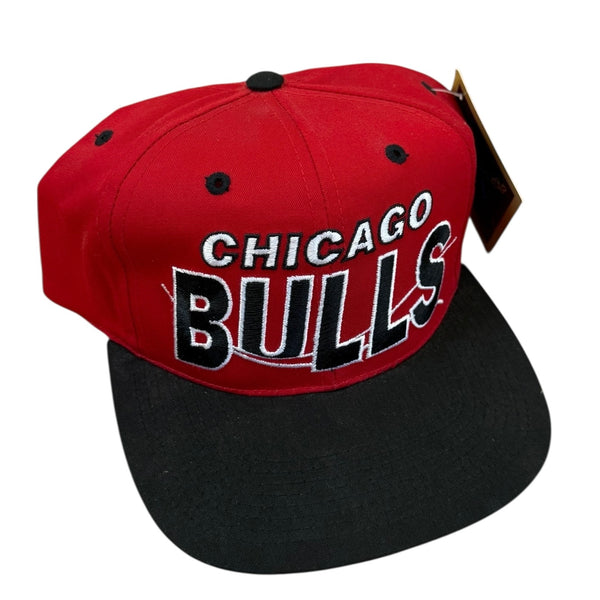 Vintage Chicago Bulls SnapBack NWTs