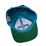 Vintage Charlotte Hornets Snapback