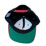 Vintage Portland Blazers SnapBack Hat