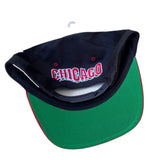 Vintage Chicago Bulls SnapBack NWTs