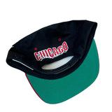 Vintage Chicago Bulls SnapBack NWTs