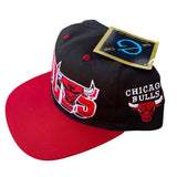 Vintage Chicago Bulls SnapBack NWTs