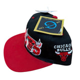 Vintage Chicago Bulls SnapBack NWTs