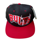 Vintage Chicago Bulls SnapBack NWTs