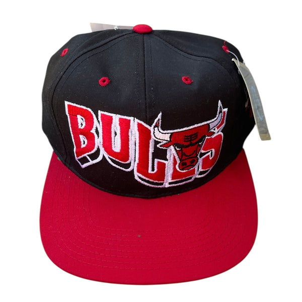 Vintage Chicago Bulls SnapBack NWTs