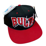 Vintage Chicago Bulls SnapBack NWTs