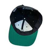 Vintage Gin Blossoms SnapBack Hat