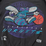 Vintage Charlotte Hornets 1993 Sweatshirt