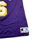 Vintage Eddie Jones Lakers Champion Jersey