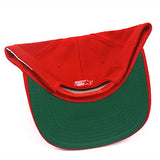 Vintage San Francisco 49ers Starter snapback hat NWT