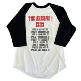 Vintage Smashing Pumpkins Arising Tour Raglan T-shirt