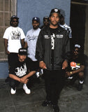 Vintage Da Lench Mob Guerillas in tha Mist T-Shirt