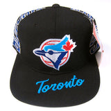 Vintage Toronto Blue Jays Snapback Hat NWT