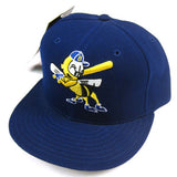 Vintage Burlington Bees New Era Fitted Hat NWT