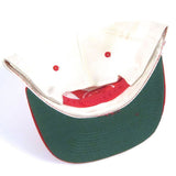 Vintage Atlanta Hawks Shark Tooth Snapback NWT