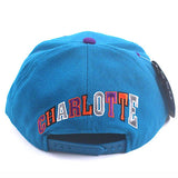 Vintage Charlotte Hornets Wool Snapback Hat NWT