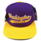 Vintage Washington Huskies Starter Snapback Hat NWT