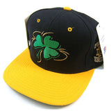 Vintage Notre Dame Image Collection Starter snapback hat NWT