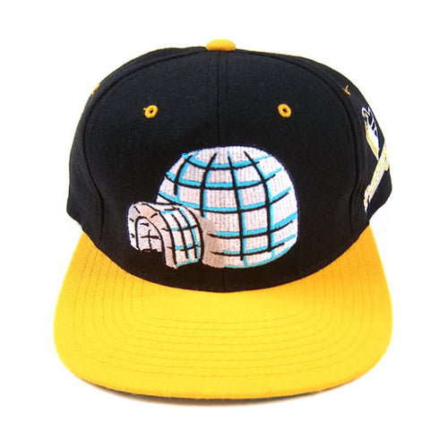 Vintage Pittsburgh Penguins Image Collection Starter Hat