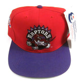 Vintage Toronto Raptors Sports Specialties Snapback Hat