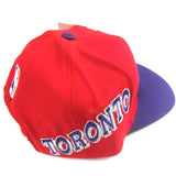 Vintage Toronto Raptors Sports Specialties Snapback Hat