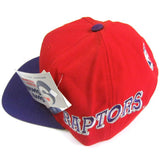Vintage Toronto Raptors Sports Specialties Snapback Hat