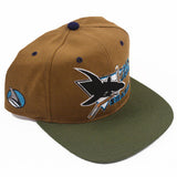 Vintage San Jose Sharks blockhead snapback NWT