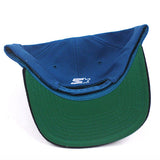 Vintage San Jose Sharks Starter snapback hat NWT