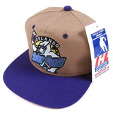 Vintage Orlando Solar Bears IHL Hockey Snapback Hat NWT