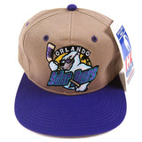 Vintage Orlando Solar Bears IHL Hockey Snapback Hat NWT