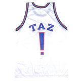 Vintage Space Jam Tune Squad TAZ Champion Jersey