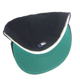 Vintage Minnesota Twins New Era Fitted Hat NWT