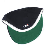 Vintage Minnesota Twins New Era Fitted